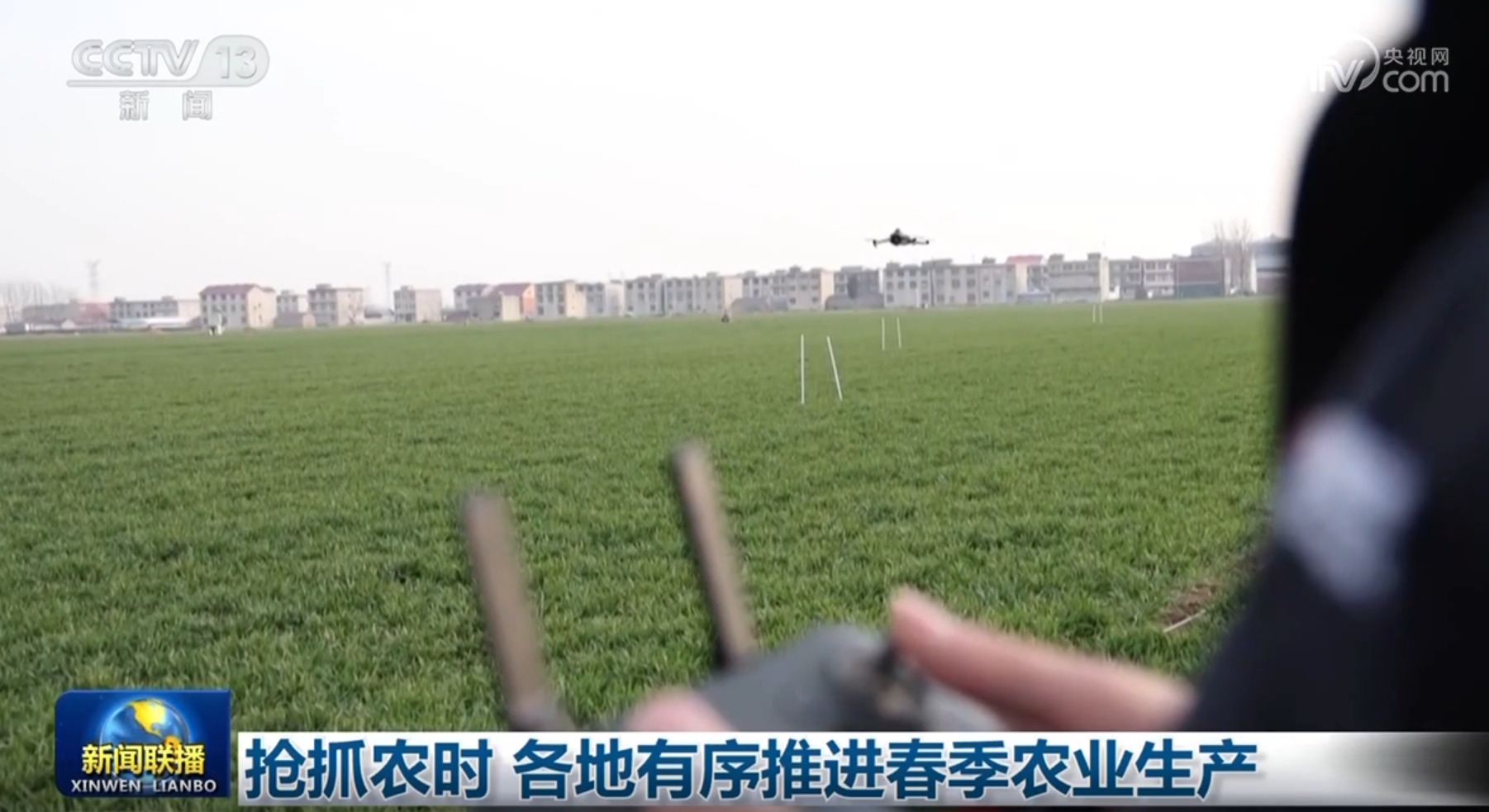 结论